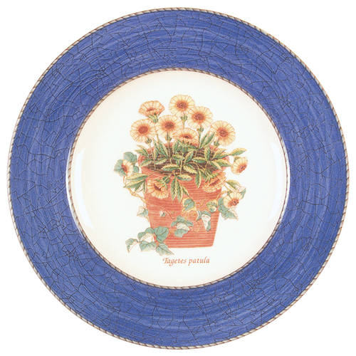 Salad Plate