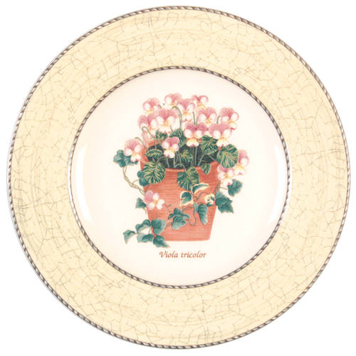 Salad Plate