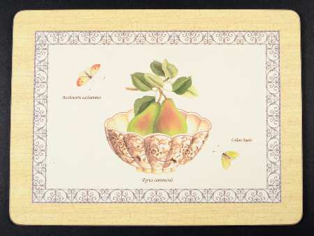 Sarah's Garden Small Corkboard Placemat
