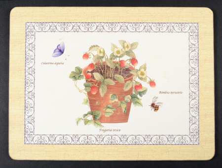 Sarah's Garden Small Corkboard Placemat