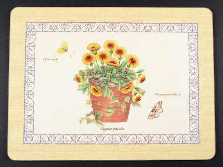 Sarah's Garden Small Corkboard Placemat
