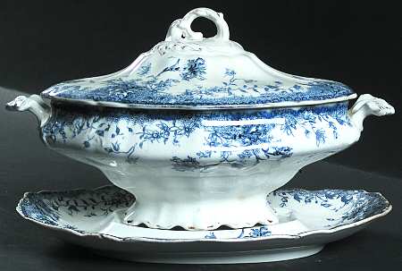 Carnation Blue by Arthur J Wilkinson