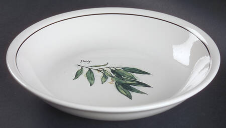 WSO24 9" Individual Pasta Bowl