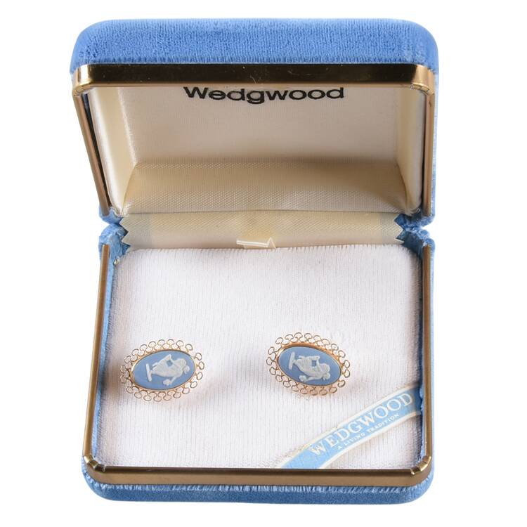 Jasperware Jewelry Earring Pair