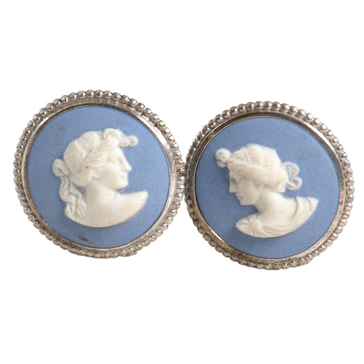Jasperware Jewelry Earring Pair