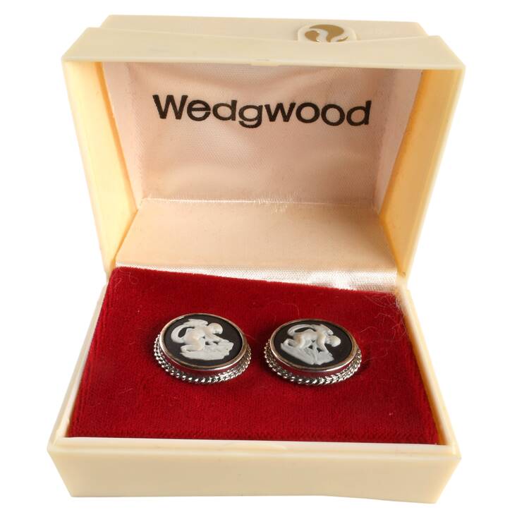 Jasperware Jewelry (Pair) Sterling Earrings