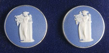Jasperware Jewelry Earring Pair