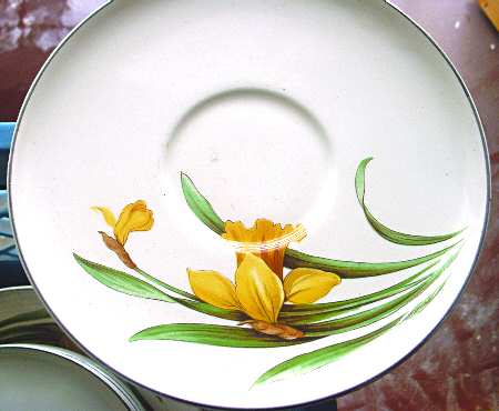 Daffodil by JH Weatherby