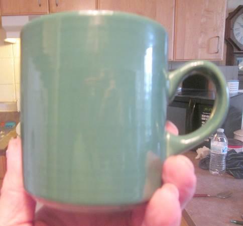 W1S1 Mug