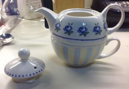 English Rose Individual Teapot & Lid with Cup