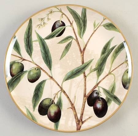 Olive Branch by Williams-Sonoma