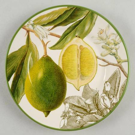 Botanical Citrus Salad Plate