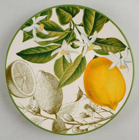 Botanical Citrus Salad Plate
