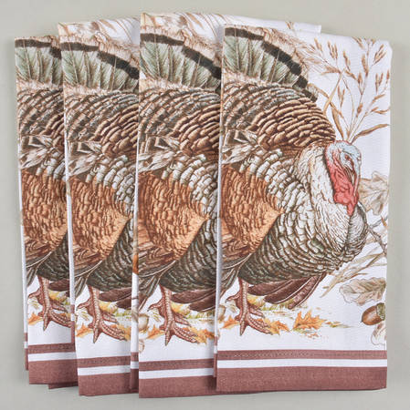 Plymouth Cloth Napkin - Set of 4