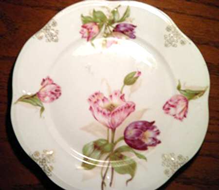 SCR348 Dinner Plate