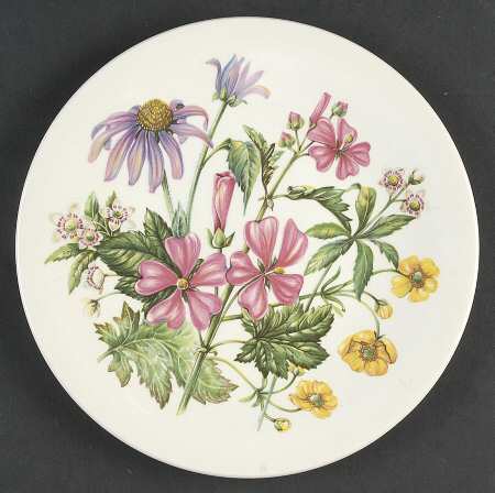 Wild Flowers of the USA Northern - No Box