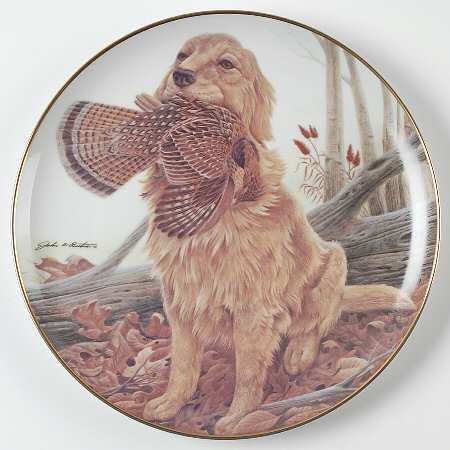 Sporting Dogs Dusty - No Box