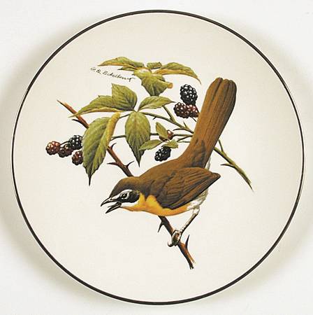 North American Songbirds Yellow-Breasted Chat - No Box