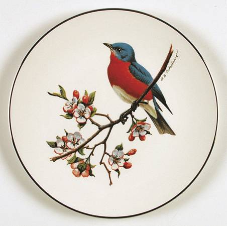 North American Songbirds Bluebird - No Box