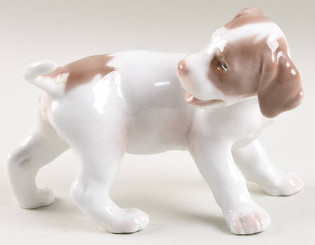 Dogs Pointer - No Box