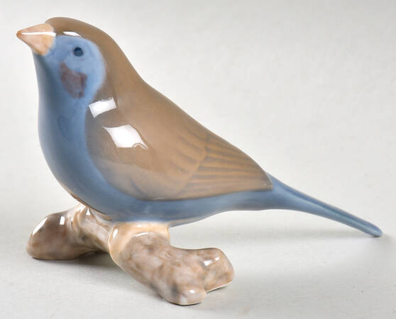Birds Finch - No Box