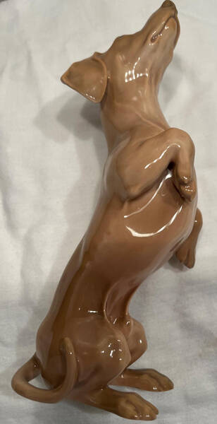 Dogs Dachshund Begging - No Box