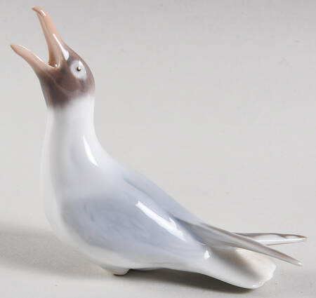 Birds Gull Crying - No Box