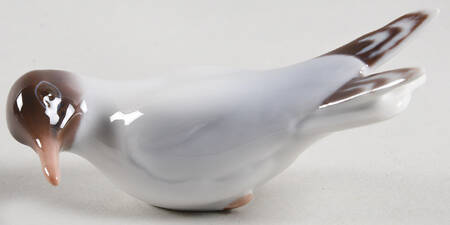 Birds Gull - No Box
