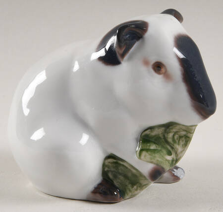 Animals-Other Guinea Pig Sitting - No Box
