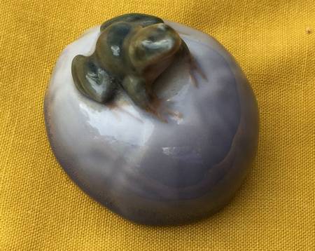 Animals-Other Frog On Rock - No Box
