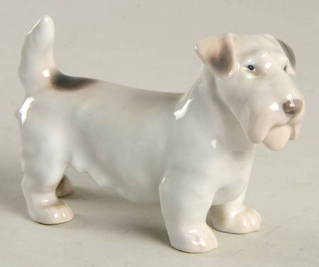 Dogs Sealyham - No Box