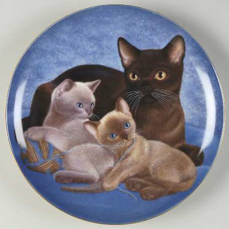 Cat Portraits Burmese And Kittens - Boxed