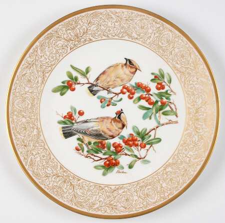 Woodland Birds of America by Boehm