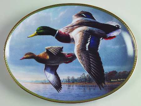 Classic Waterfowl Mallards: On The Wing - No Box