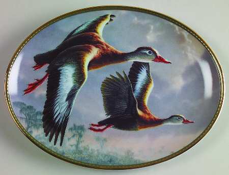 Classic Waterfowl Black Bellied Whistling Ducks - No Box