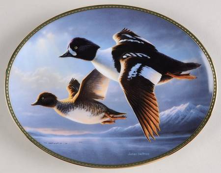 Classic Waterfowl Goldeneyes: Placid Crossing - No Box