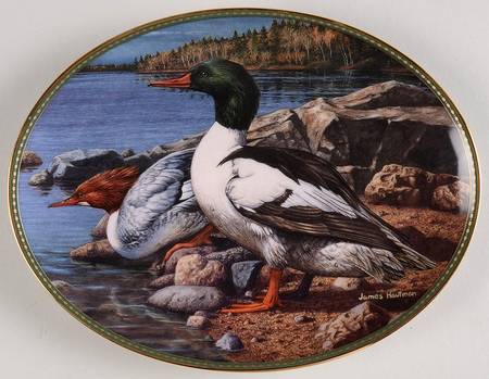 Classic Waterfowl Mergansers: Glacial Lake - No Box