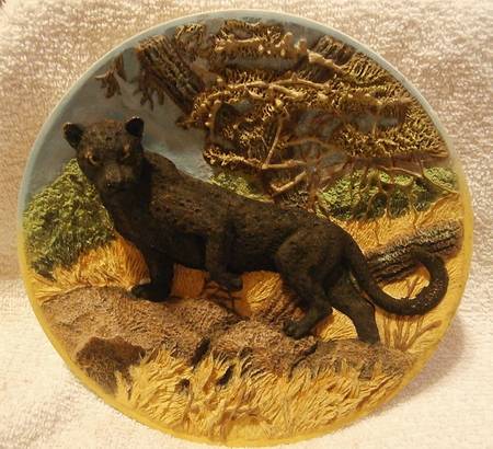 Fierce & Free:Big Cats Black Leopard - No Box