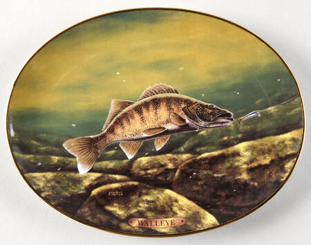 Freshwater Game Fish of North America Walleye - No Box