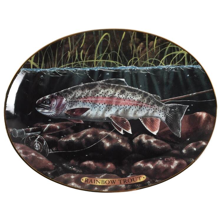 Freshwater Game Fish of North America Rainbow Trout - No Box
