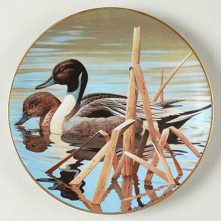 Natures Heritage Pintails - No Box