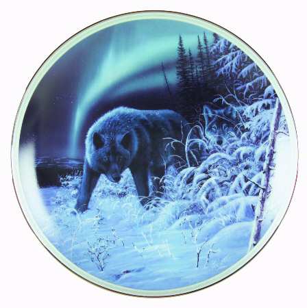 Under the Northern Lights Catching The Elusive Light - No Box