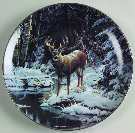 Untamed Wilderness Unexpected Encounter - No Box