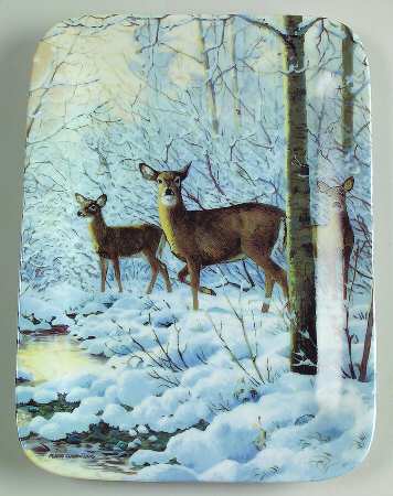 Winter Retreat Where Beauty Abounds - No Box