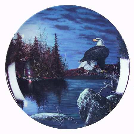World of The Eagle Sentinel Of The Night - No Box