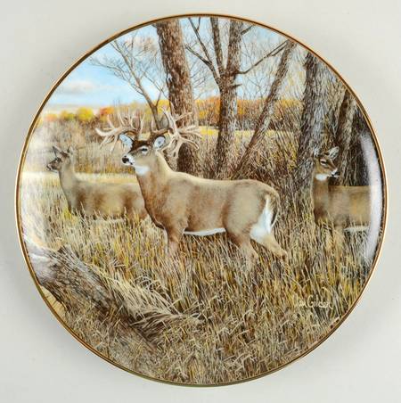 World Record Whitetails Missouri Giant - No Box