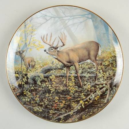 World Record Whitetails Monarch's Morning - No Box