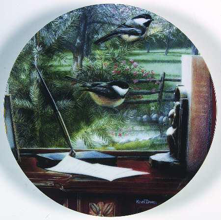 Windows on the World of Song Den: Black Capped-Chickadee - No Box