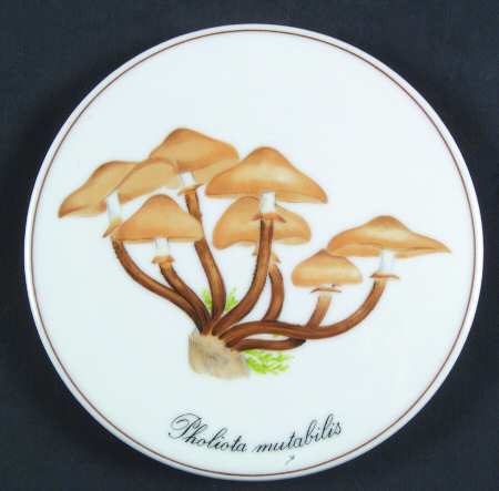 Bing & Grondahl Giftware Little Trivet Fungus Trivet - No Box