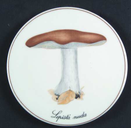 Bing & Grondahl Giftware Wood Blewits - No Box